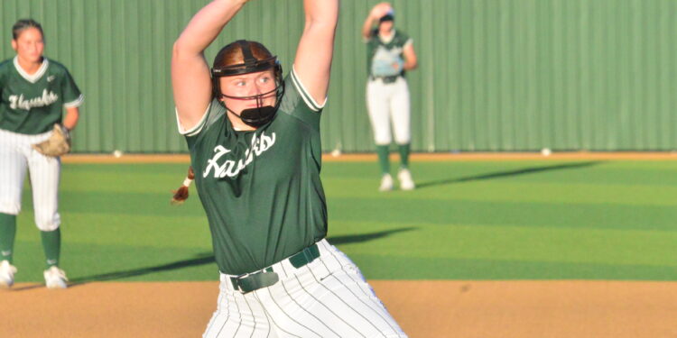 Birdville forces winner-take-all Game 3 vs Aledo