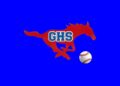 Per source: 5A #1 Grapevine, winners of back-to-back state baseball titles, ruled out of playoffs