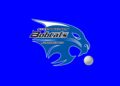 Byron Nelson extends streak in comeback victory over Flower Mound