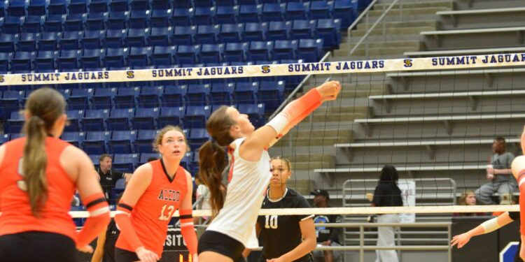 DFW Volleyball Scores