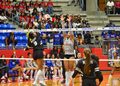 DFW Volleyball Scores – Sept. 29