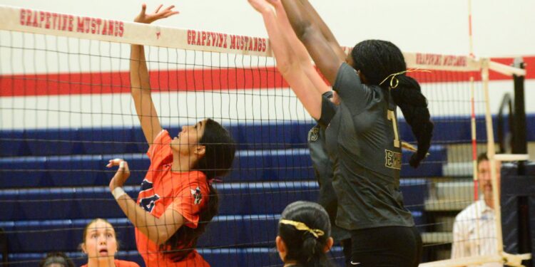 DFW Volleyball Scores – Sept. 4